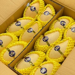 [최저가항공직송] 18brix 항공 남독마이 태국망고 설탕망고 mango, 2kg(4~6과내외), 1개