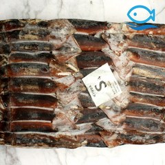 바다더해 원양산 선동 포크오징어 s 20KG 냉동오징어, 1개