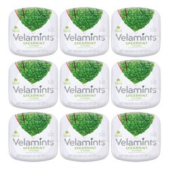 VELAMINTS 벨라민츠 무설탕 스피어민트 사탕 180g / 20g X 9통 코스트코 판매, 9개