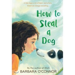 How to Steal a Dog:- '개를 훔치는 완벽한 방법' 원작 소설, Square Fish