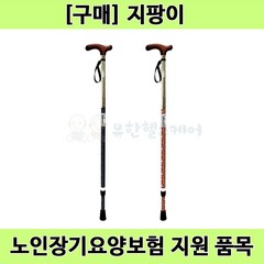 [노인장기요양] 복지용구 일자형 등산용 노인 어르신 지팡이 보행보조용품 LED 지팡이 단족형 LS-20F, 오렌지