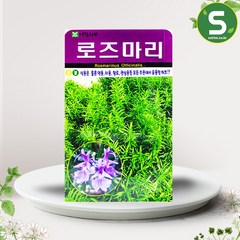 솔림텃밭몰 허브씨앗 로즈마리씨앗 70립 로즈마리 허브씨, 1개