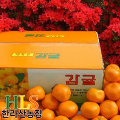 한라산농장 감귤 10KG 15KG 홍보용 특가- 불만족시 무료반품 -, 귤 10KG 중대과 (L~2L), 1개