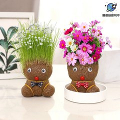 2+1 머리 잔디 인형 유치원 화분 식물 선물, 2.【꽃인형】2개(2포트+2트레이 증정)