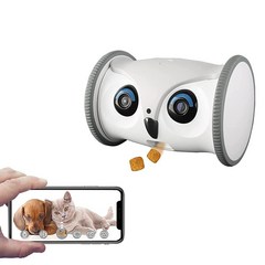 Skymee SKYMEE Owl Robot: 간식 디스펜서가 있는 움직일 수 풀 HD 반려동물 카메라 개와 고양이를 위한 인터랙티브 장난감 앱을 통한 모바일 제어