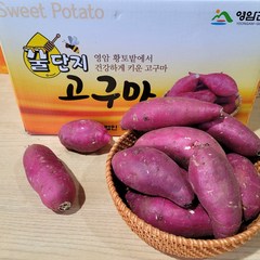 영암명품 소담농원 꿀단지 황금꿀고구마 3 5 10kg 베니하루까, 꿀단지황금꿀고구마5kg 로얄사이즈, 1개