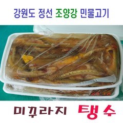 민물고기/탱수 미꾸라지/500g/강원도 정선, 1개