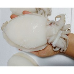 활 갑오징어 손질 급냉 냉동갑오징어 1KG 5-8마리, 1kg(5~8마리), 1개