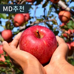 [산지직송] 고당도 햇 사과 경북 부사 홍로 가정용 꿀사과, 1박스, 3kg 소과(16-17과)