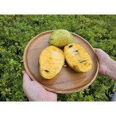 냉동 포포열매 포포나무열매 포포과일 포포망고 포포과일1kg pawpaw, 1개