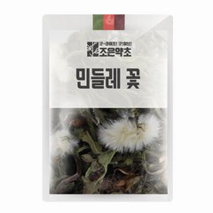 굿허브 민들레 꽃(포공영) 200g, 단품, 1개