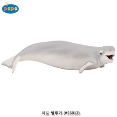 파포 모형완구 벨루가 흰돌고래 바다동물 피규어 과학 관찰 학습 어린이집 교구, 상세페이지 참조