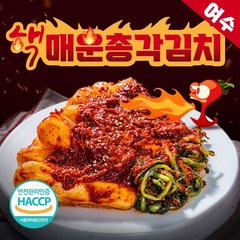 [식객50년전통]매운 총각김치 전라도 매운김치 불김치 알타리 무우김치 1kg 3kg 5kg 핵매운김치 맛있게 매운 김치 매운실비김치 당일생산 50년전통, 2kg, 1개