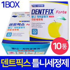 덴트픽스 포르테 치아교정기 틀니 전문세정제 32정 x 10통(1BOX), 10개, 32개