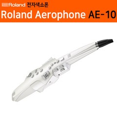 롤랜드 전자색소폰 에어로폰 AE-10, 화이트