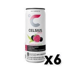 셀시어스 라즈베리 아사이그린티 캔음료 325ml x 6개, 단품