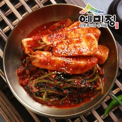 예미정 비건 총각김치 (채식 젓갈뺀 김치 젓갈 안들어간김치), 1box, 5kg