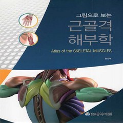 새책-스테이책터 [근골격 해부학] -그림으로 보는 6판-대학서림-대학서림 편집부 지음