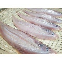 반건조 서대, 1kg(10미), 10개