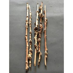지팡이 어르신 보조 감태나무 연수목 용품 노인, 7호, 1개