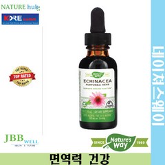 네이쳐스웨이 프리미엄 추출물 에키네시아 30ml 1개 / Nature's Way Echinacea 99.9% Alcohol Free