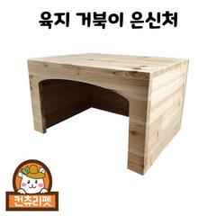 육지 거북이 원목 은신처 (대)