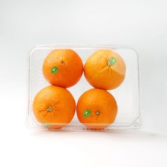 [과일愛]오늘의 과일 오렌지 1.3kg, 단품
