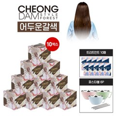 청담스타일 청담스타일 살롱컬러X10+트리트먼트 8mlX10+파스타볼 6p, 밀크브라운(자연갈색), 밀크브라운(자연갈색)