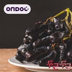 온도씨씨없는 블랙사파이어포도 가지포도 3kg -, 1개