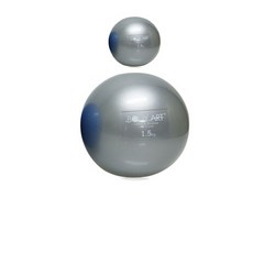 균형잡힌 몸매를 세트 만들어주는 좋은 품질 웨이트볼 학원 유산소운동 용공 중량공 용품 홈트 클럽, KW 소프트웨이트볼_블루-1kgx2ea