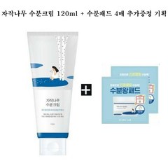 라운드랩 자작나무 수분 크림 120ml (수분패드4매 증정), 1개