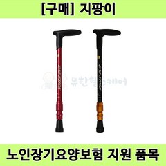 [노인장기요양] 복지용구 일자형 등산용 노인 어르신 지팡이 보행보조용품 ONE STICK J-1000, 1개