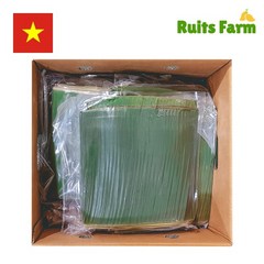 [루츠팜] 베트남 생 바나나잎 10kg 베트남바나나잎, 1개