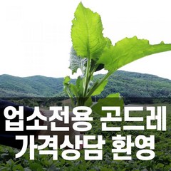 업소용 강원도 정선 곤드레 나물(냉동곤드레 3kg * 6팩 5kg* 3팩), 냉동곤드래5kgx3팩(1박스)