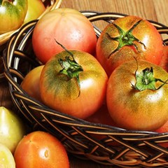 산지직송 부산 최상급 프리미엄 고당도 대저 짭짤이 토마토, 3kg, 1개