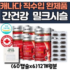 여성 남성 캐나다 간 건강 도움 기능 밀크씨슬 실리마린 플러스1000mg 비타민 A B1 B2 B6 B12 아연 엽산 밀크시슬 식 약 처 인증 종합 영양제 6 알약통 사은품 증정, 6개, 60정