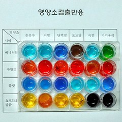 (사이언샵)영양소검출반응세트(2인용)