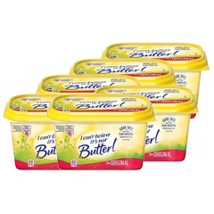 아이캔빌리브 잇츠 낫 버터 오리지널 스프레드 425g 6개 I Can't Believe It's Not Butter Original Spread