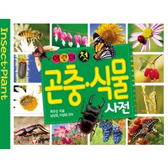 어린이 첫 곤충 식물 사전, 글송이, 어린이 첫 사전 시리즈