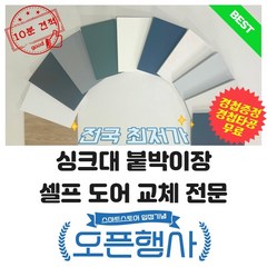 [간편교체] 싱크대도어 붙박이도어 셀프교체전문 싱크대문 붙박이장문 주문제작 DIY, 1000