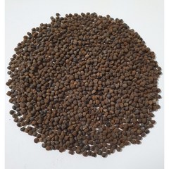 [남늘보] [직접재배] 금화규 씨앗 약1 600립, 1개
