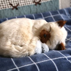 크리에잇투 숨쉬는 인형 고양이 랙돌, 혼합색상