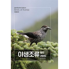 야생조류 필드 가이드 양장 - 박종길, 단품