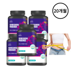 [100% 정품] 락토페린 9000mg 고함량 추천 식약처 인증 해썹 모로오렌지 프랑스산 웰빙곳간 체지방분해 / 장용성 스키니랩 코팅 락토패린 락토페닌 효능, 120정, 5개