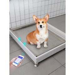 화장실 강아지 자동 배변판 주변부품, 페달