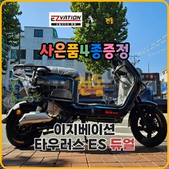 이지베이션 타우러스 ES 듀얼 모터 14인치 전기 전동스쿠터 48V 20Ah 60V 30Ah, 타우러ES 듀얼 화이트