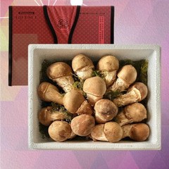 국내산 참송이 버섯 선물세트 (명품/고급) - 우주참송이, 1세트, 1kg