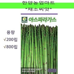 채소-아스파라거스/씨앗/종자/800립, 1개