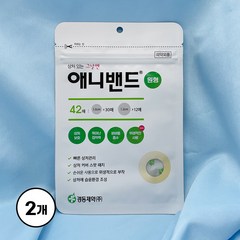 경동제약 애니밴드 원형 스팟 42매, 2개