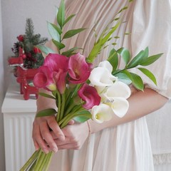 [계절의꽃] 카라 생화 한단 화이트 핑크 꽃배달 생화택배, 화이트(한단)
